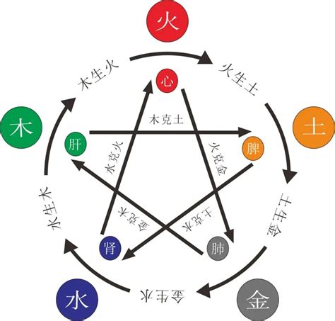 金、木、水、火、土|中华思想文化术语“五行”的中文解释及英文翻译